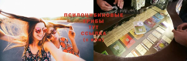 ПСИЛОЦИБИНОВЫЕ ГРИБЫ Каменка
