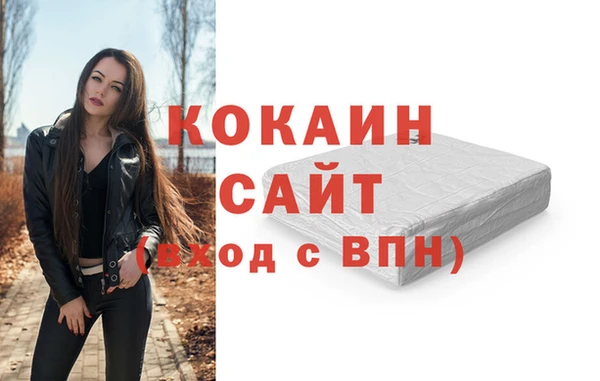 ПСИЛОЦИБИНОВЫЕ ГРИБЫ Каменка