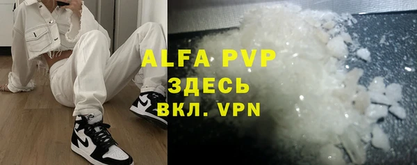 ПСИЛОЦИБИНОВЫЕ ГРИБЫ Каменка