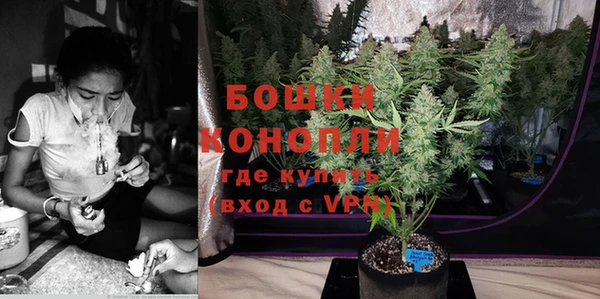 хмурый Карпинск