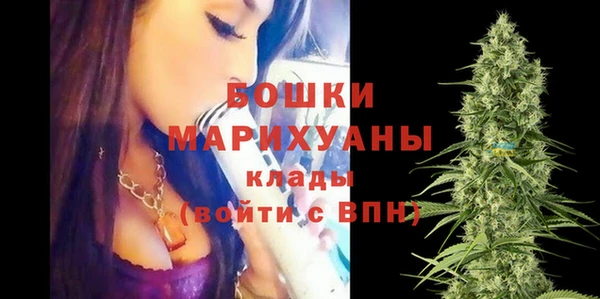хмурый Карпинск