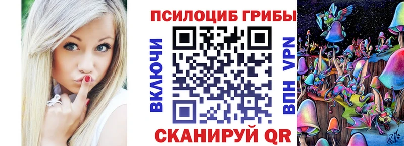 Галлюциногенные грибы Psilocybe Курган